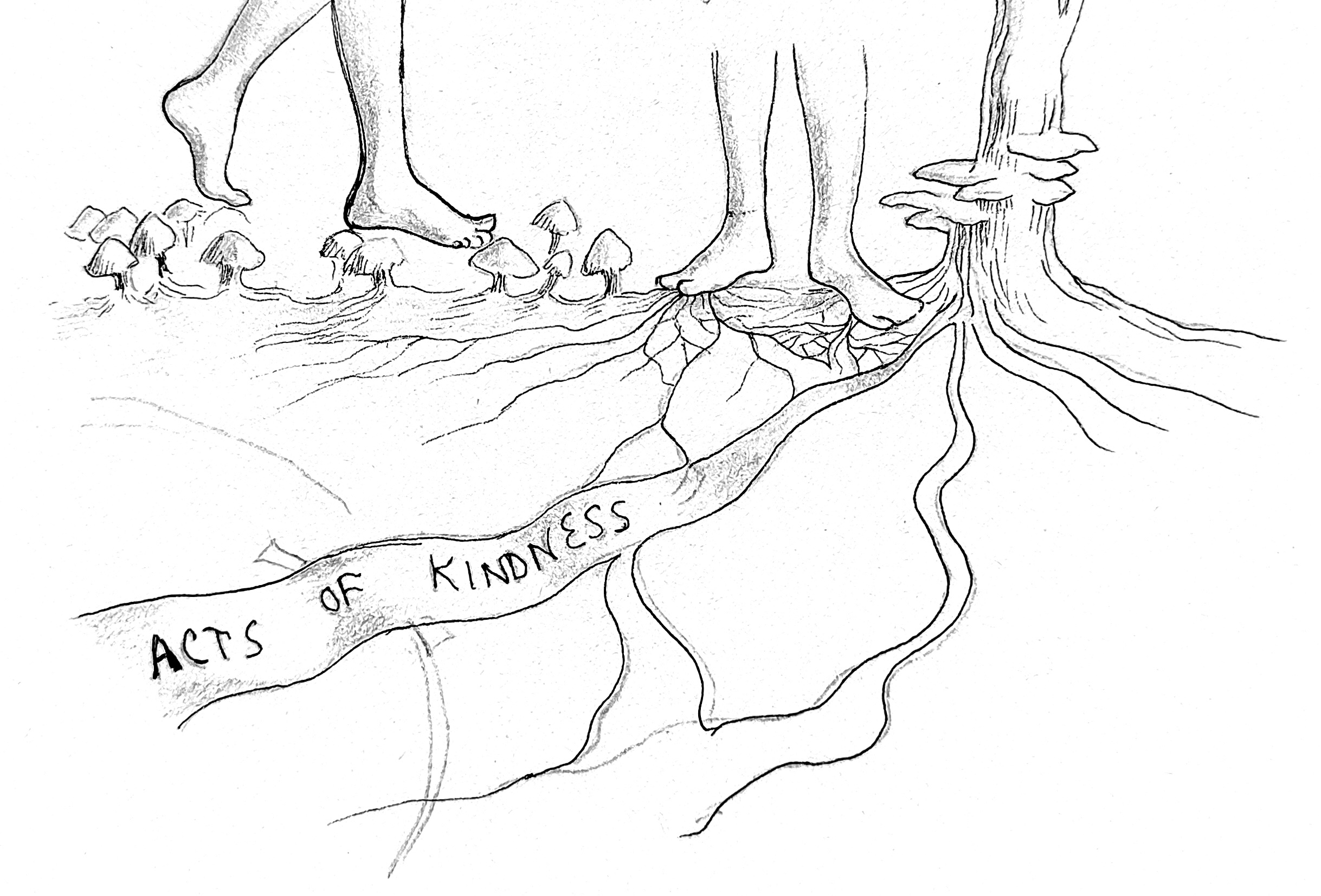 IMG_20250827_210349 IMG_20250827_210349