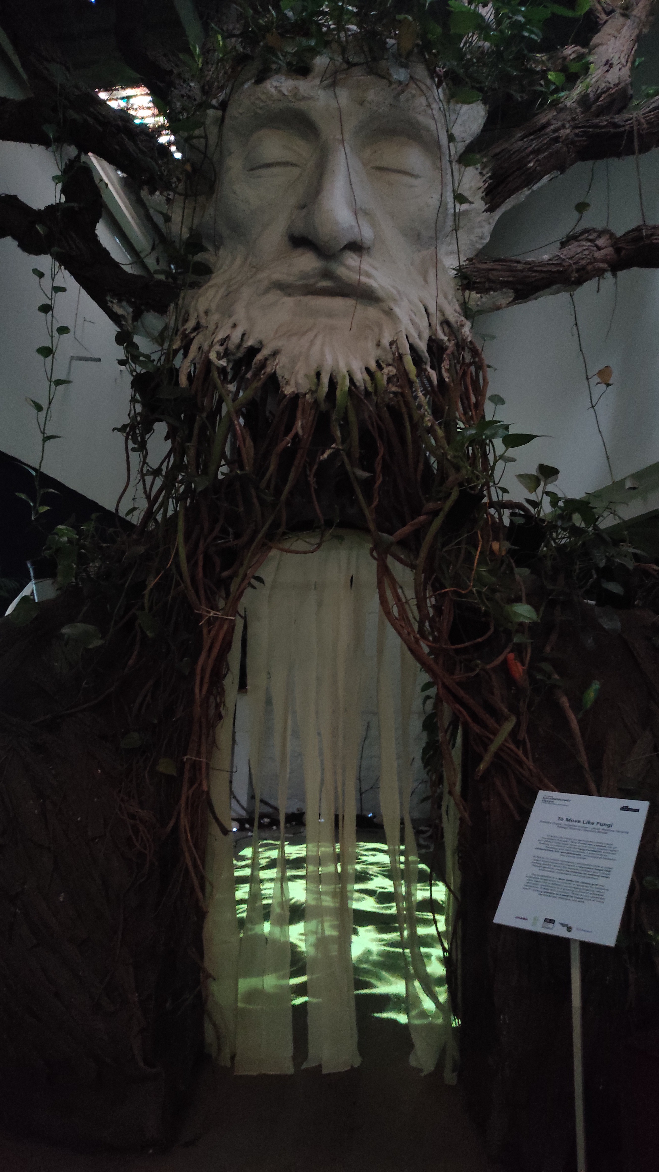 IMG_20250906_155712 IMG_20250906_155712