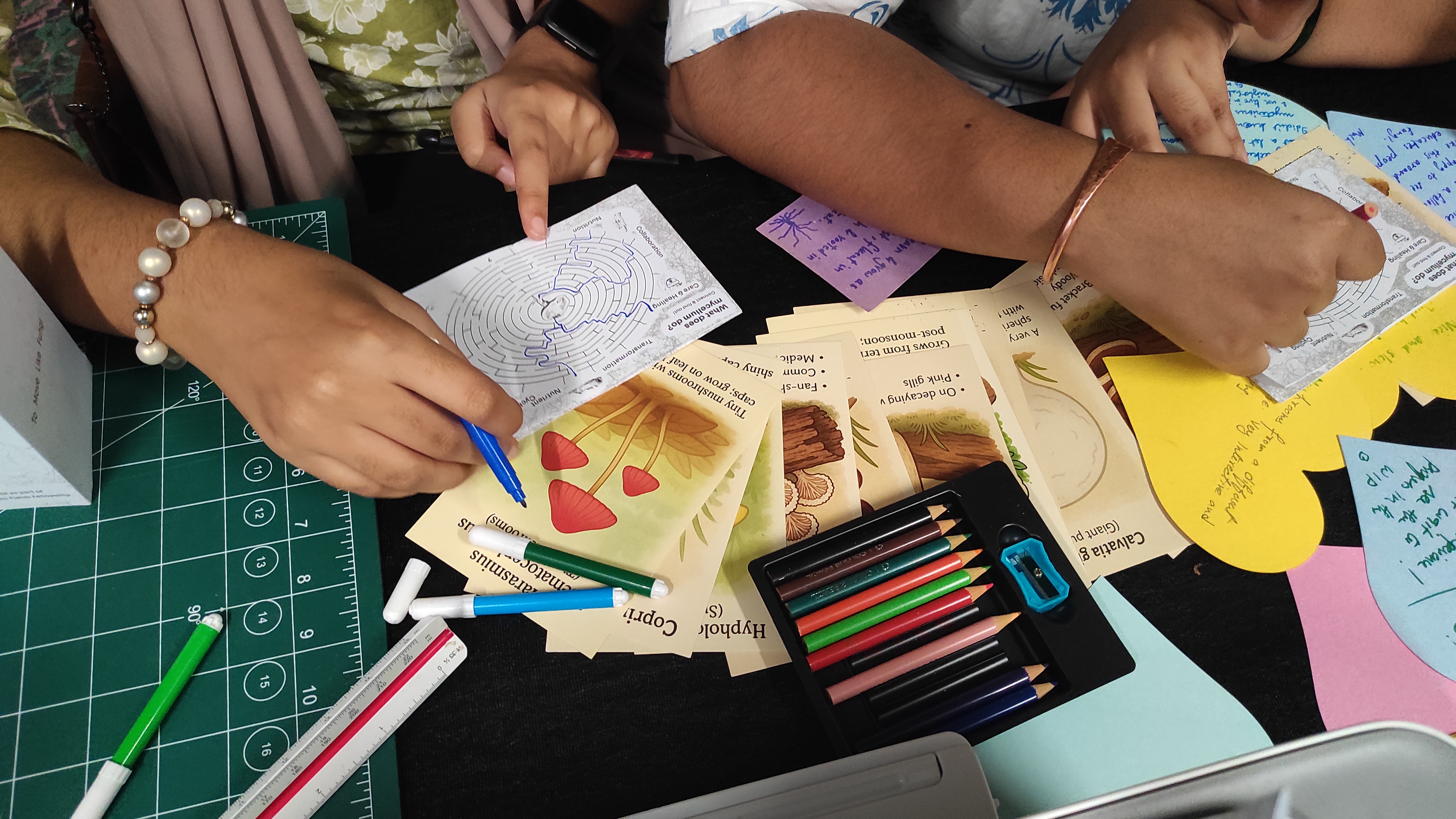 IMG_20250907_141140 IMG_20250907_141140