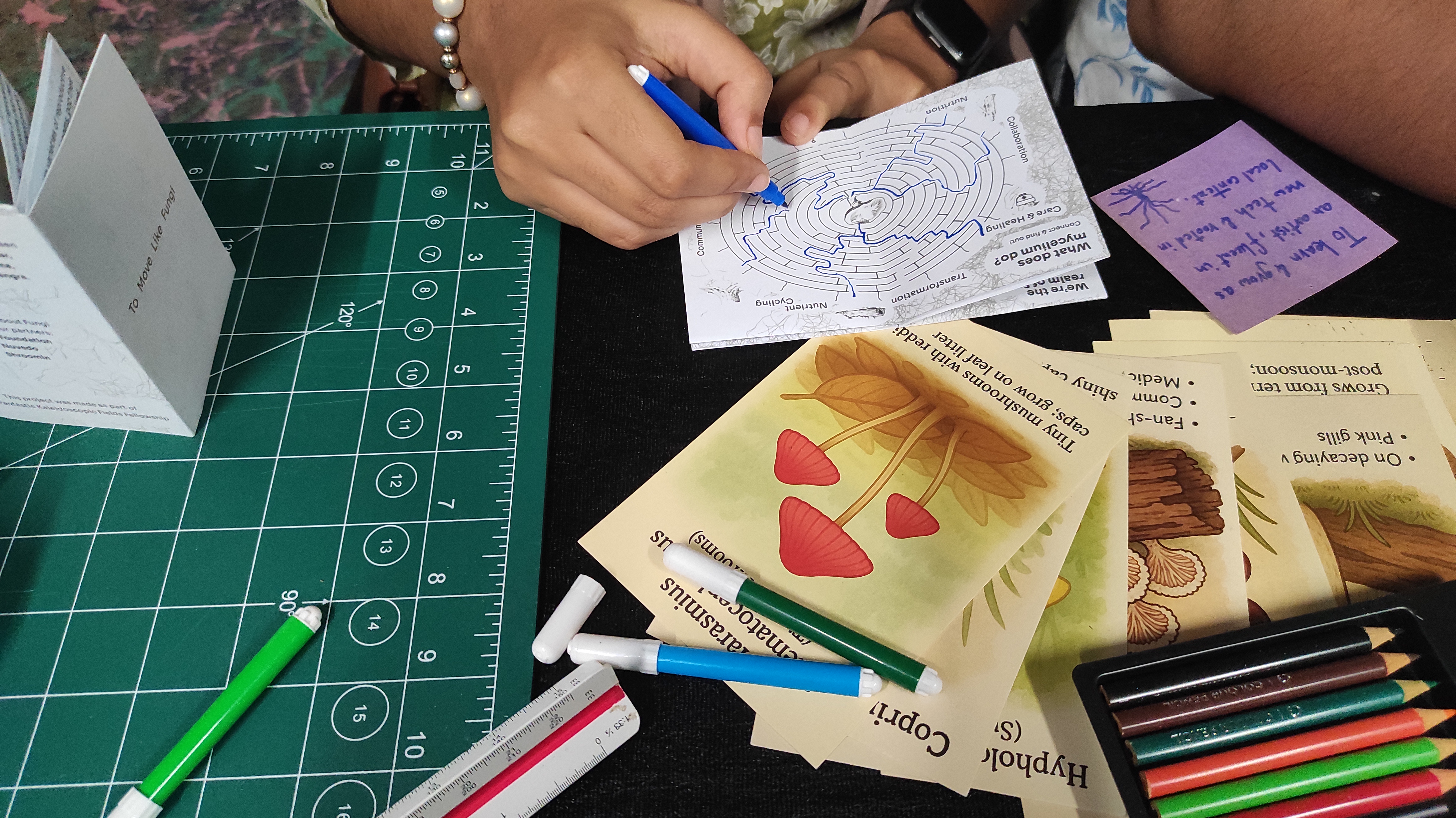 IMG_20250907_141225 IMG_20250907_141225