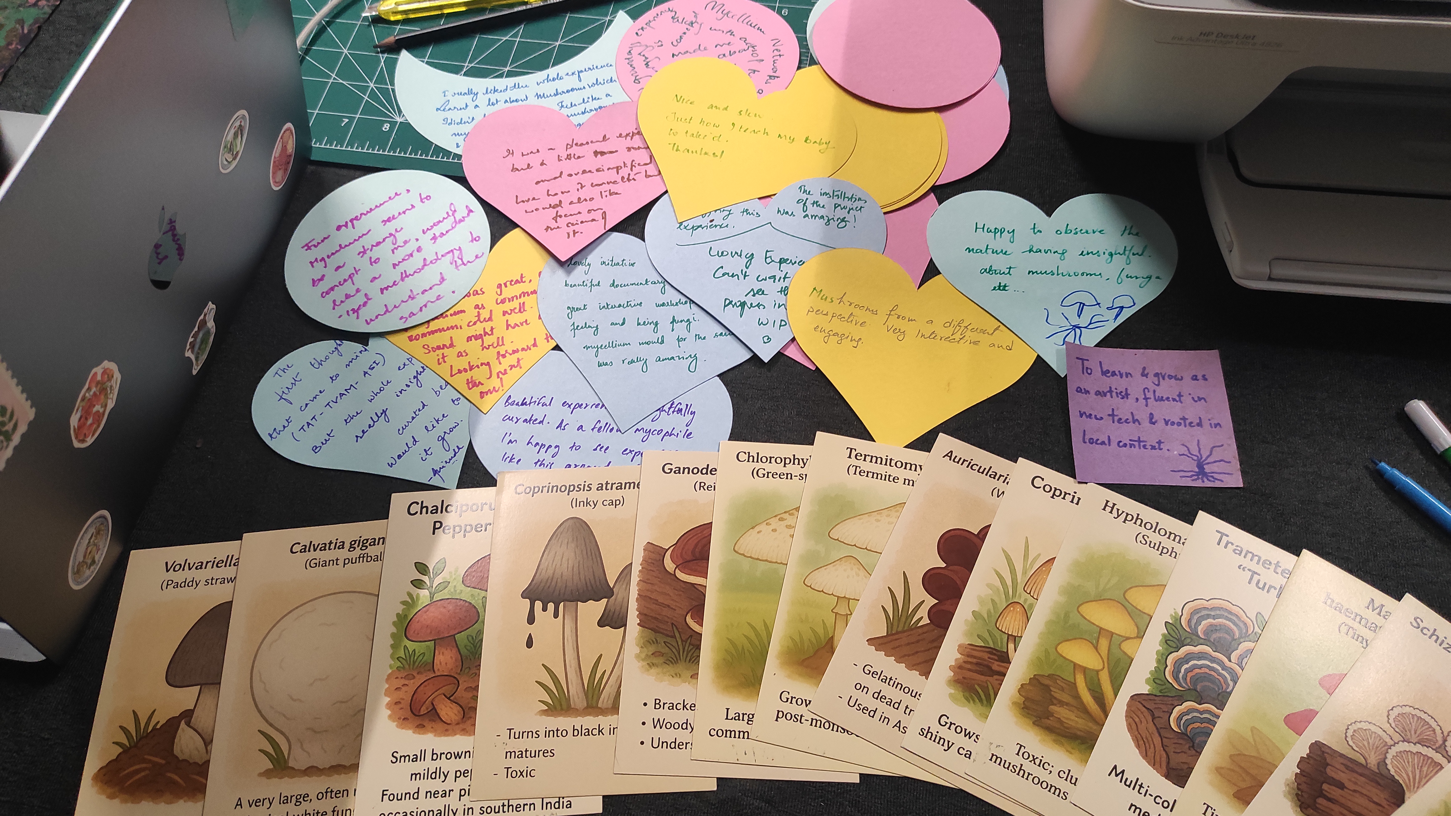 IMG_20250907_154429 IMG_20250907_154429